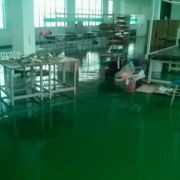 環氧樹脂薄涂地坪